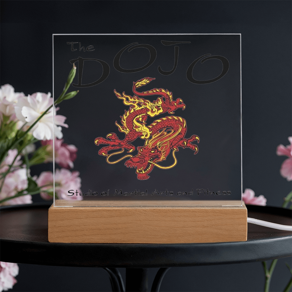 Business-Corporate Lighted Square Showcase Plaque-The Dojo 84
