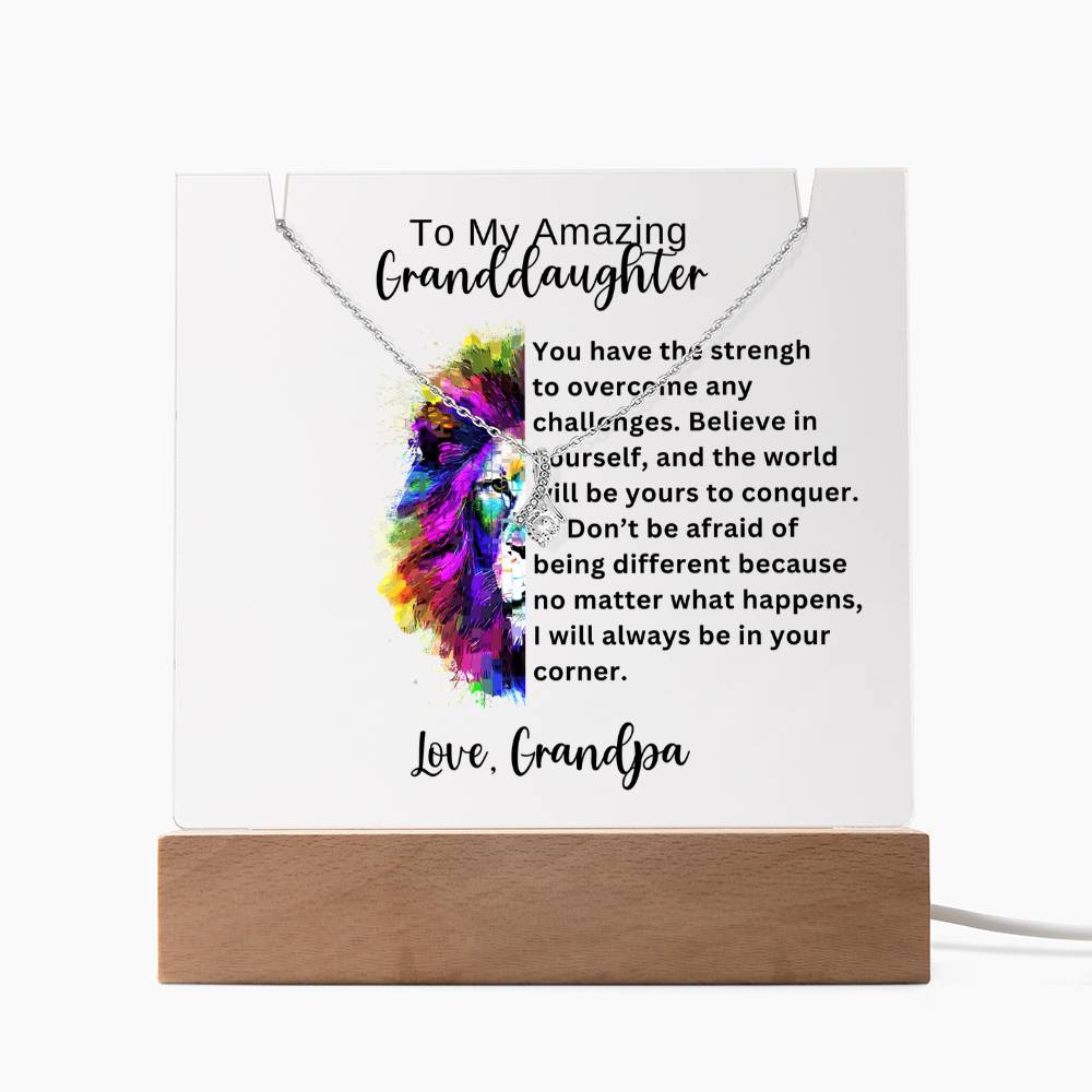 To My Granddaughter-Acrylic and the beautiful Alluring Necklace 78