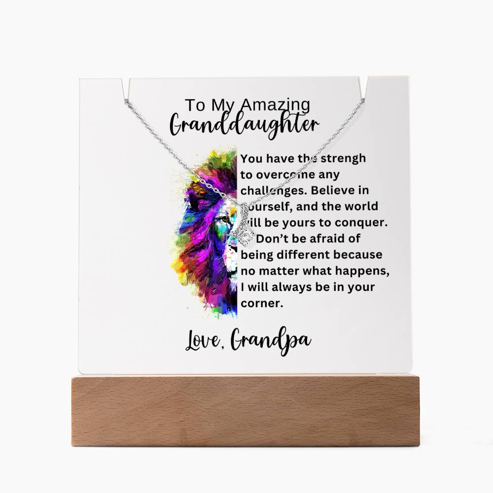 To My Granddaughter-Acrylic and the beautiful Alluring Necklace 78