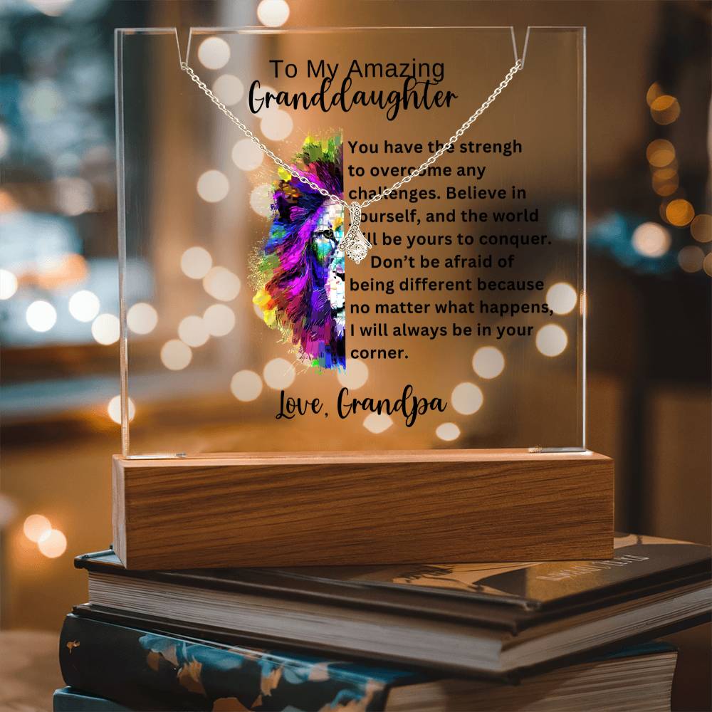 To My Granddaughter-Acrylic and the beautiful Alluring Necklace 78