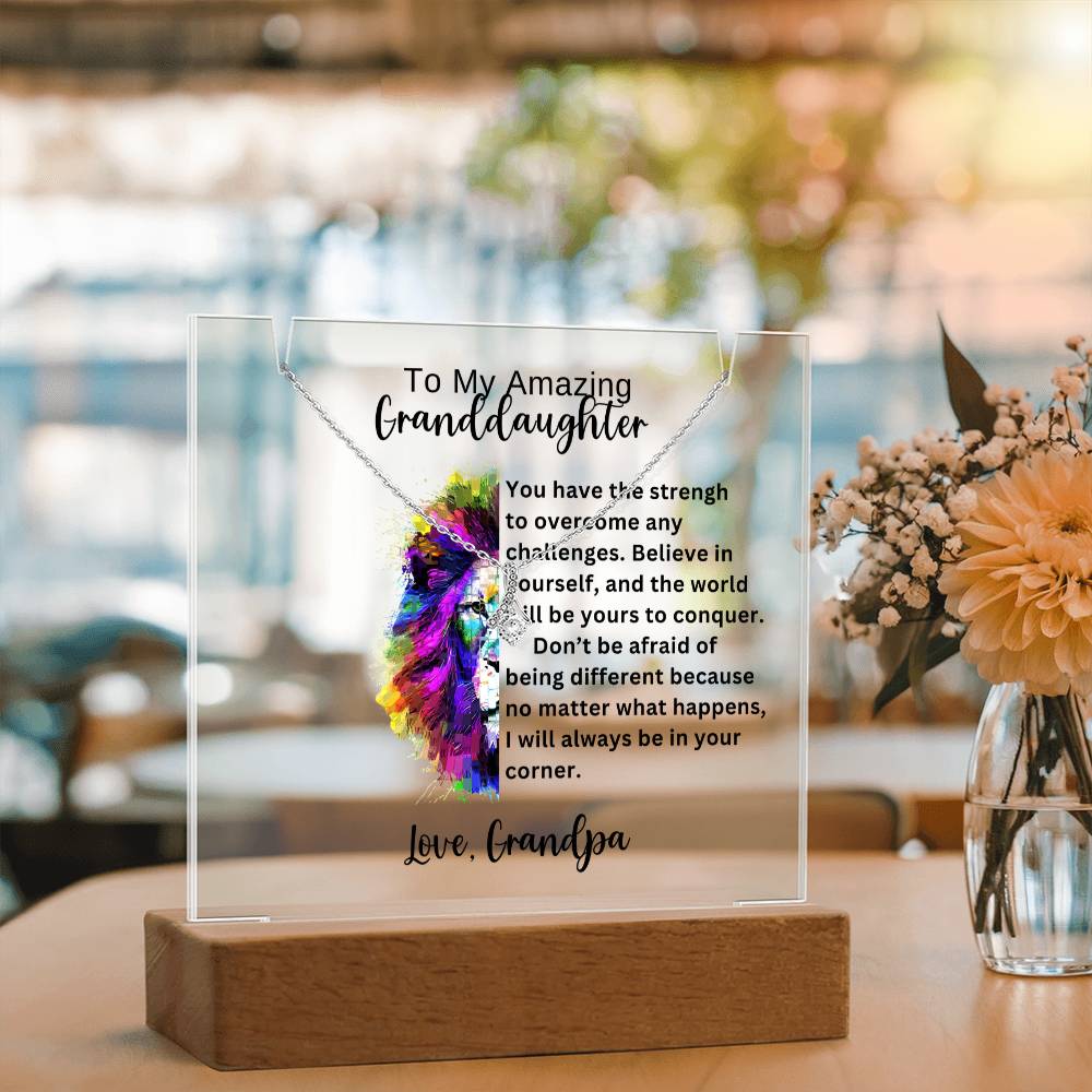 To My Granddaughter-Acrylic and the beautiful Alluring Necklace 78