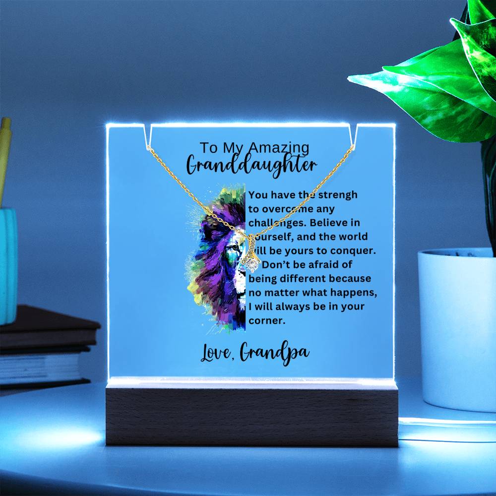 To My Granddaughter-Acrylic and the beautiful Alluring Necklace 78