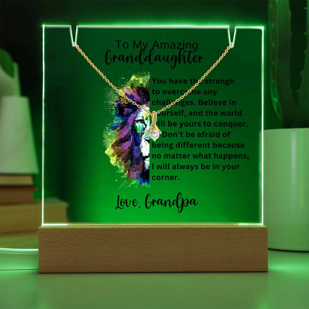 To My Granddaughter-Acrylic and the beautiful Alluring Necklace 78