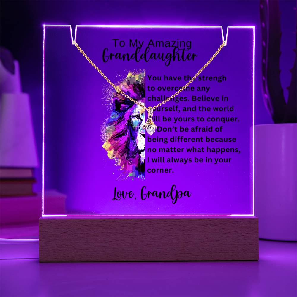 To My Granddaughter-Acrylic and the beautiful Alluring Necklace 78