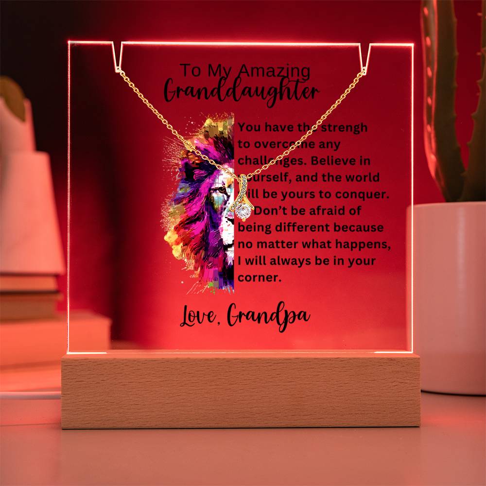 To My Granddaughter-Acrylic and the beautiful Alluring Necklace 78