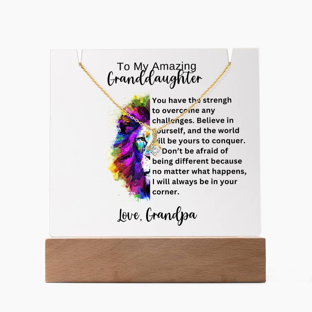 To My Granddaughter-Acrylic and the beautiful Alluring Necklace 78